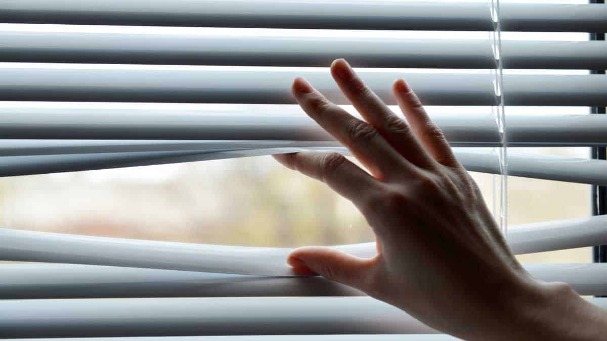 female handing separating blinds
