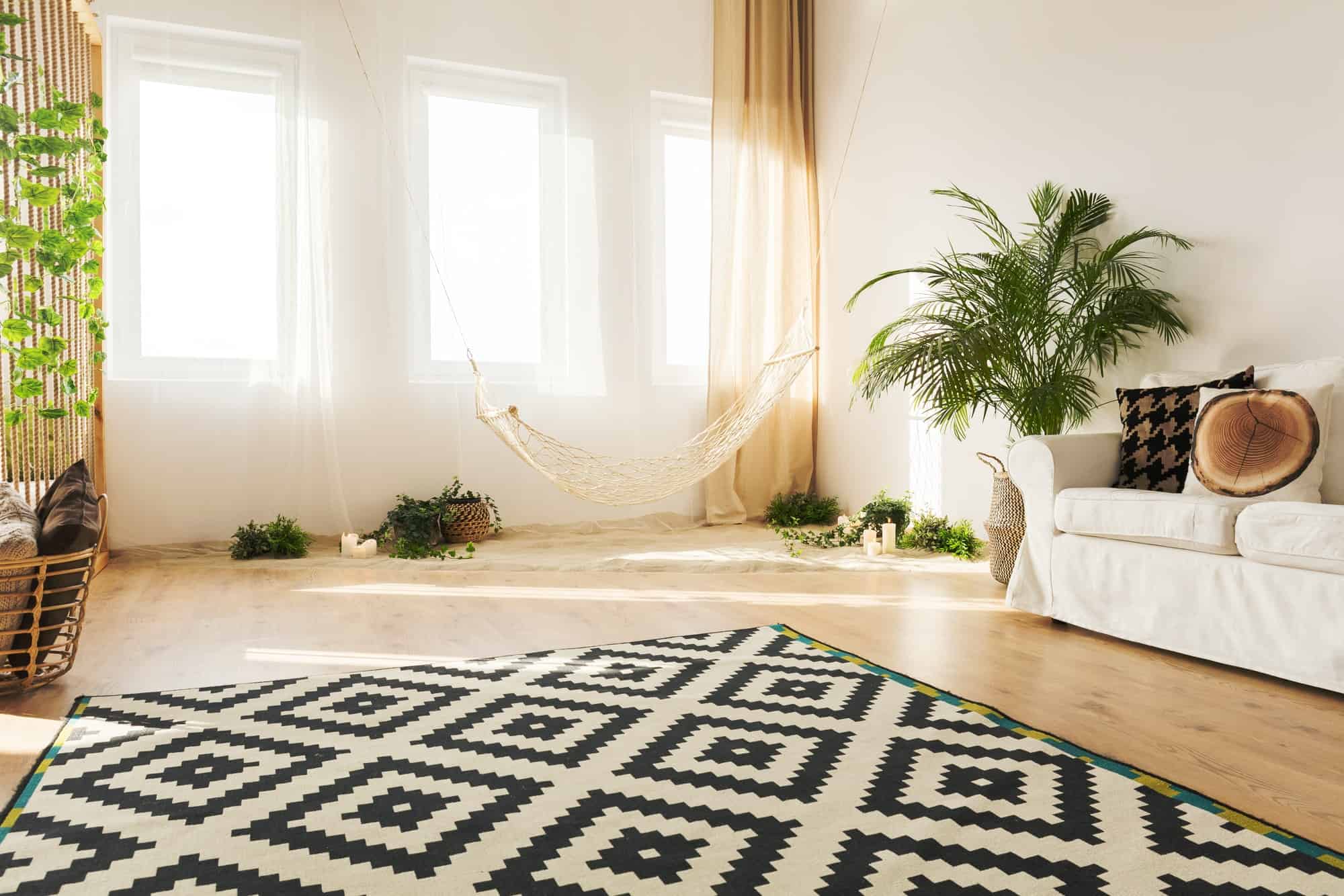 Eco room with pattern carpet
